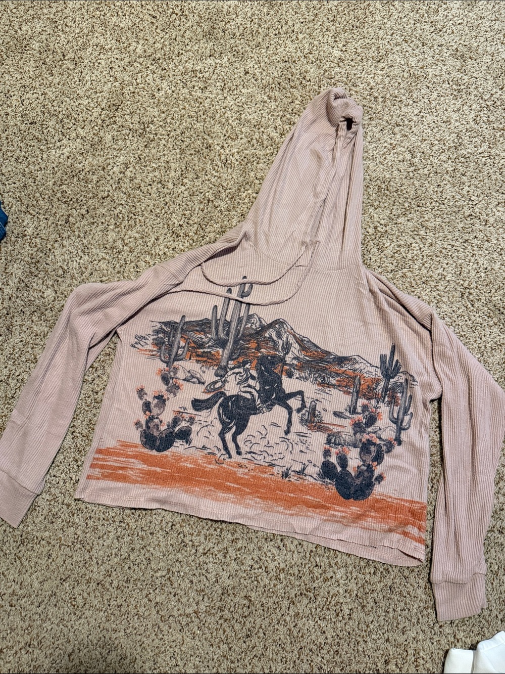 Dusty Pink Western Graphic Hooded Turtleneck Sweater